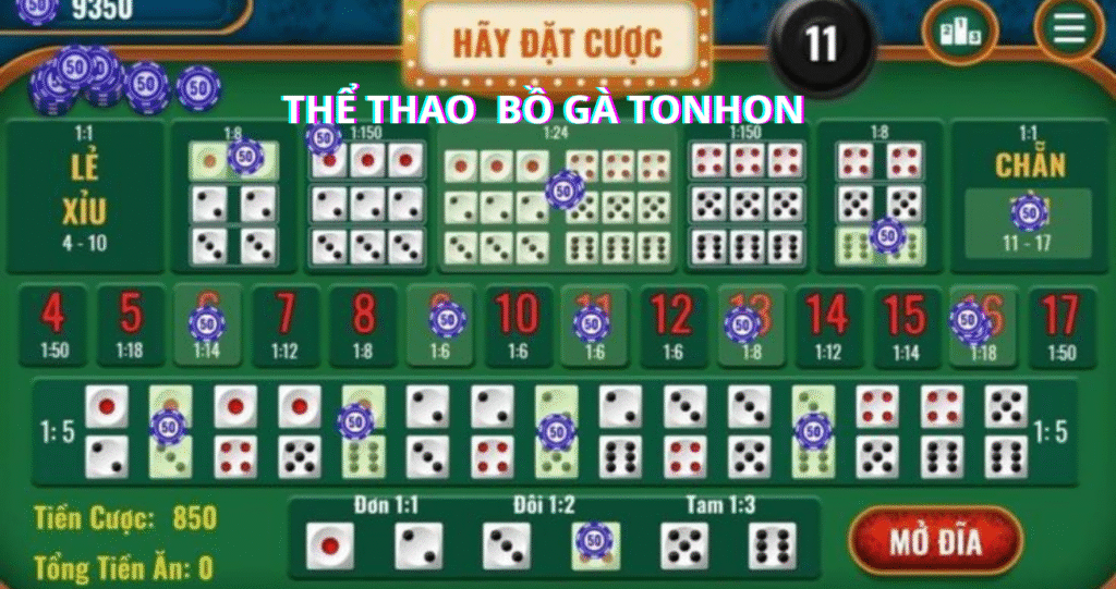 Chẵn Lẻ Tài Xỉu Bồ Gà Tonhon Đẳng Cấp Châu Á Xu Hướng 2025