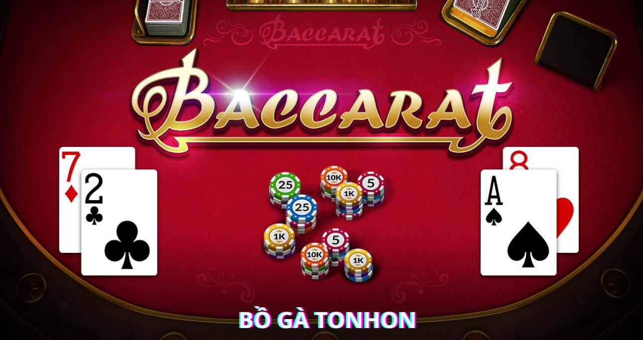 Chơi Bài Baccarat Trực Tuyến - Bồ Gà Tonhon Trải Nghiệm Hấp Dẫn 2025