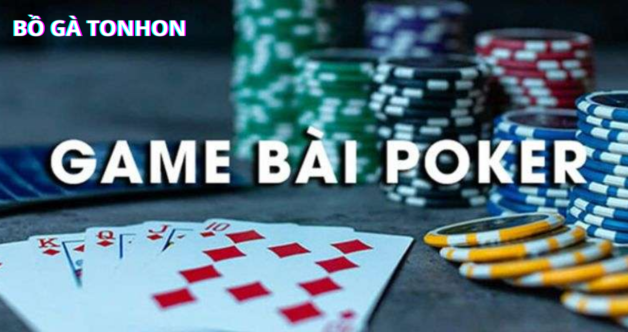 Tổng hợp quy định chơi Poker Online bạn nên biết Bồ Gà Tonhon 
