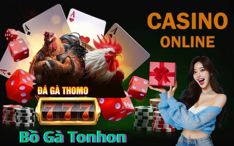bồ gà tonhon trang chủ đá gà trực tiếp thomo cpc1 cpc2 cpc3 cpc4 cpc5 cpc6 