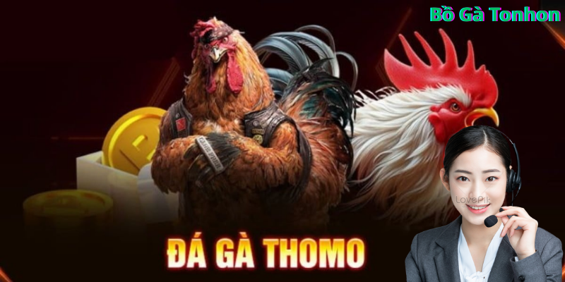 CSKH tuyệt vời Bồ Gà Tonhon