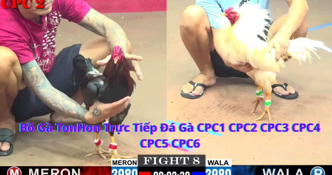 CPC1