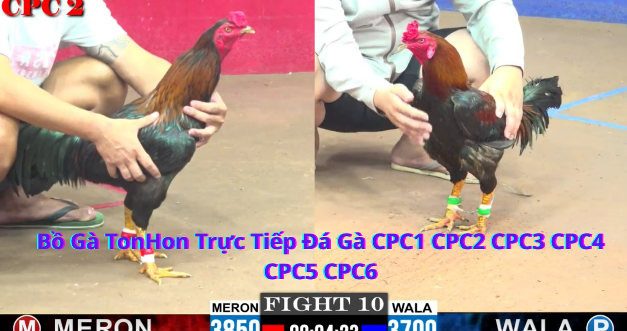 CPC3