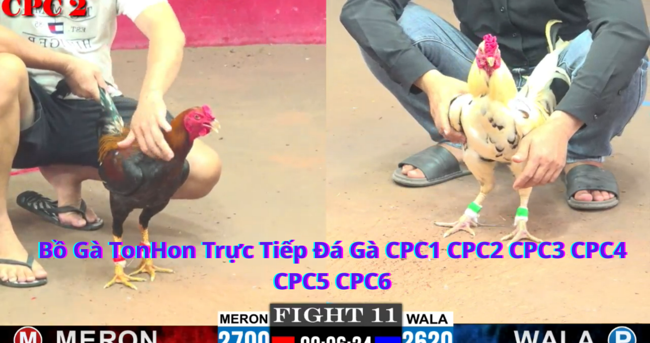 CPC4