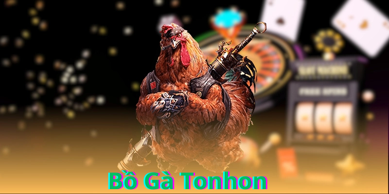Các quy định cược về đá gà thomo - Bồ Gà Tonhon 