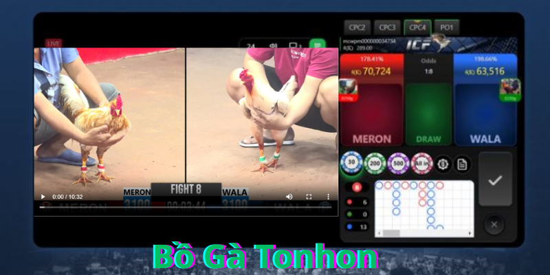 Đá Gà Thomo Bồ Gà Tonhon  - Những Thông Tin Cơ Bản Khi Tham Gia Chơi
