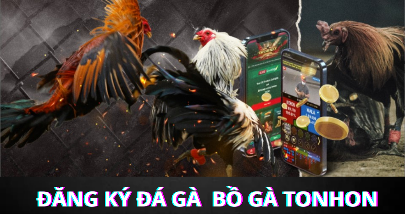 Một số lưu ý hội viên cần chú tâm khi thực hiện đăng ký Bồ Gà Tonhon 