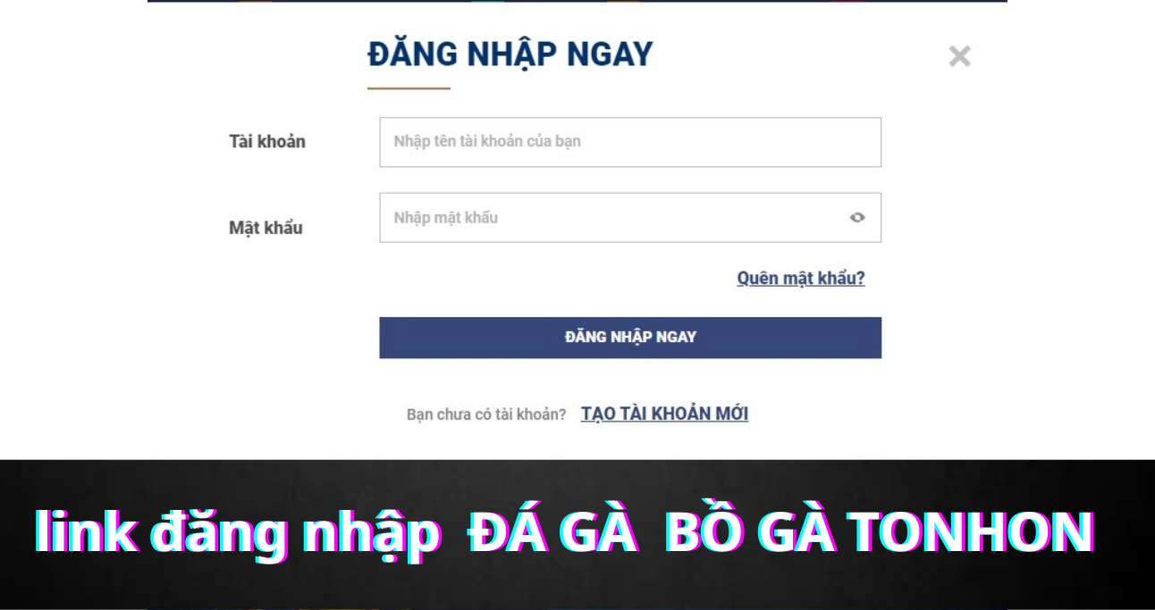 Đăng Nhập Bồ Gà Tonhon  - Hướng Dẫn Chi Tiết Từng Bước Nhanh Chóng