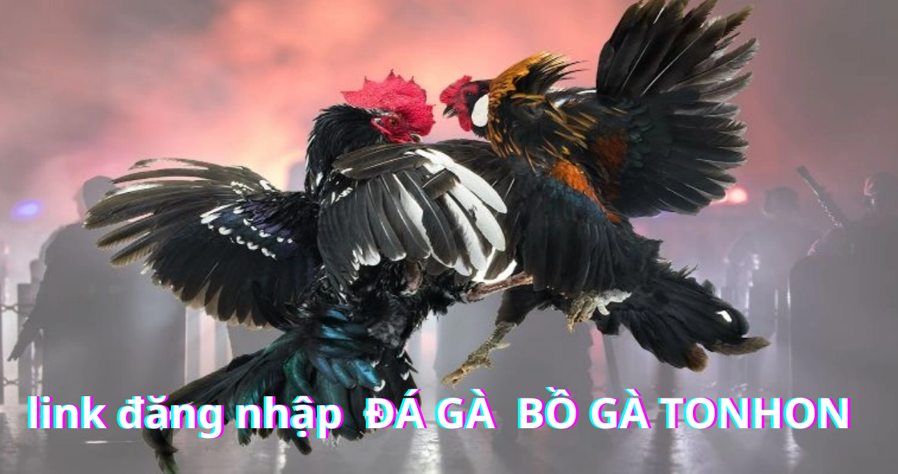 Hướng dẫn thực hiện các bước đăng nhập Bồ Gà Tonhon 