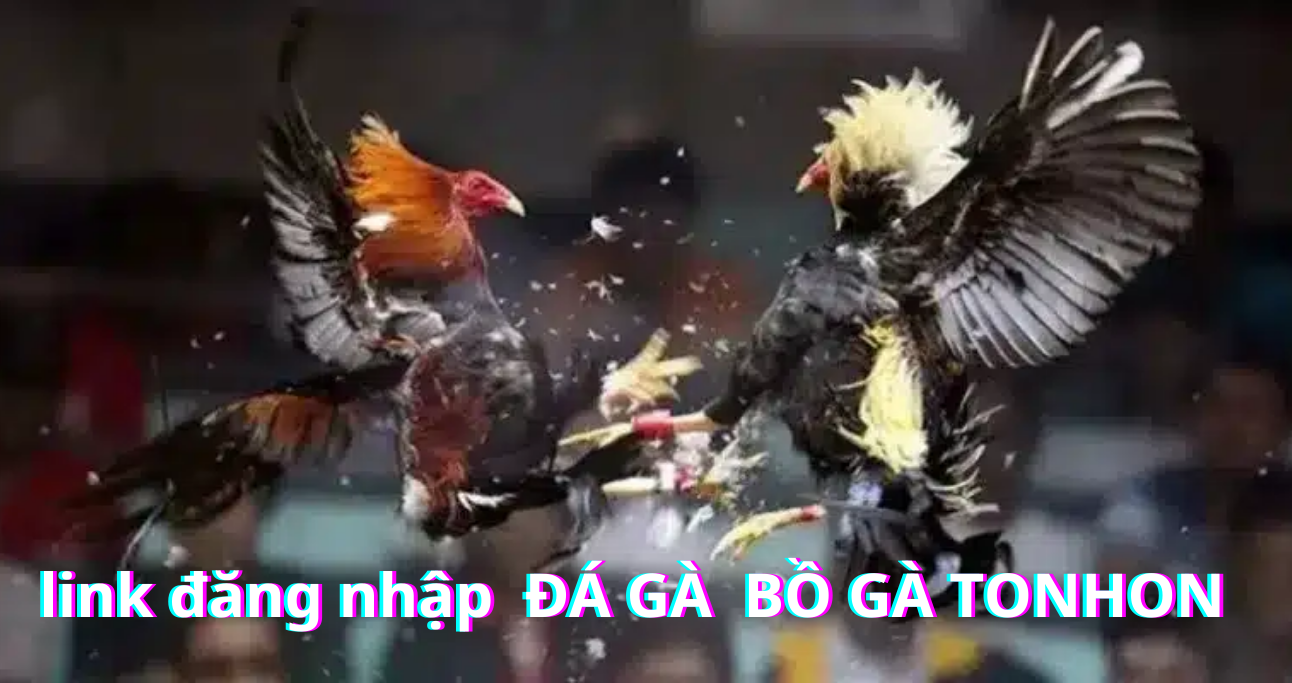 Lợi ích nhận được sau khi đăng nhập Bồ Gà Tonhon