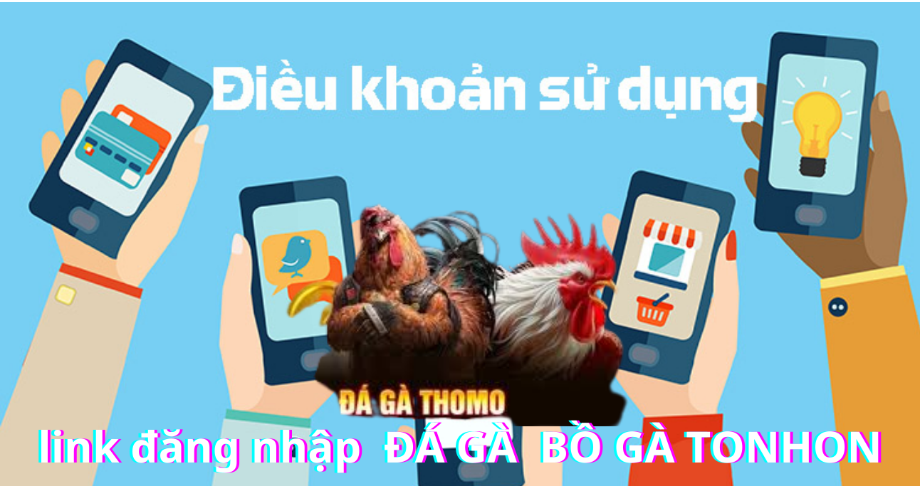 Tầm quan trọng về điều khoản điều kiện tại nhà cái Bồ Gà Tonhon