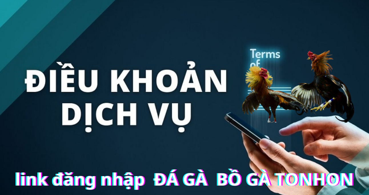 Nhà cái bồ gà tonhon chỉ tạo tài khoản cho hội viên chính chủ 100%