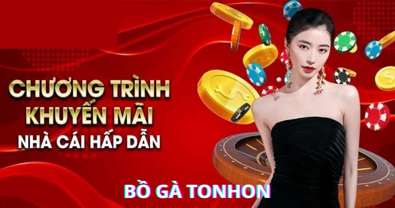 Khuyến Mãi Bồ Gà Tonhon - Các Sự Kiện Tạo Nên Độ Hot Cho Nhà Cái