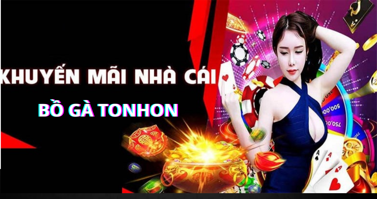 Một số khuyến mãi Bồ Gà Tonhon  cụ thể và điều kiện chi tiết