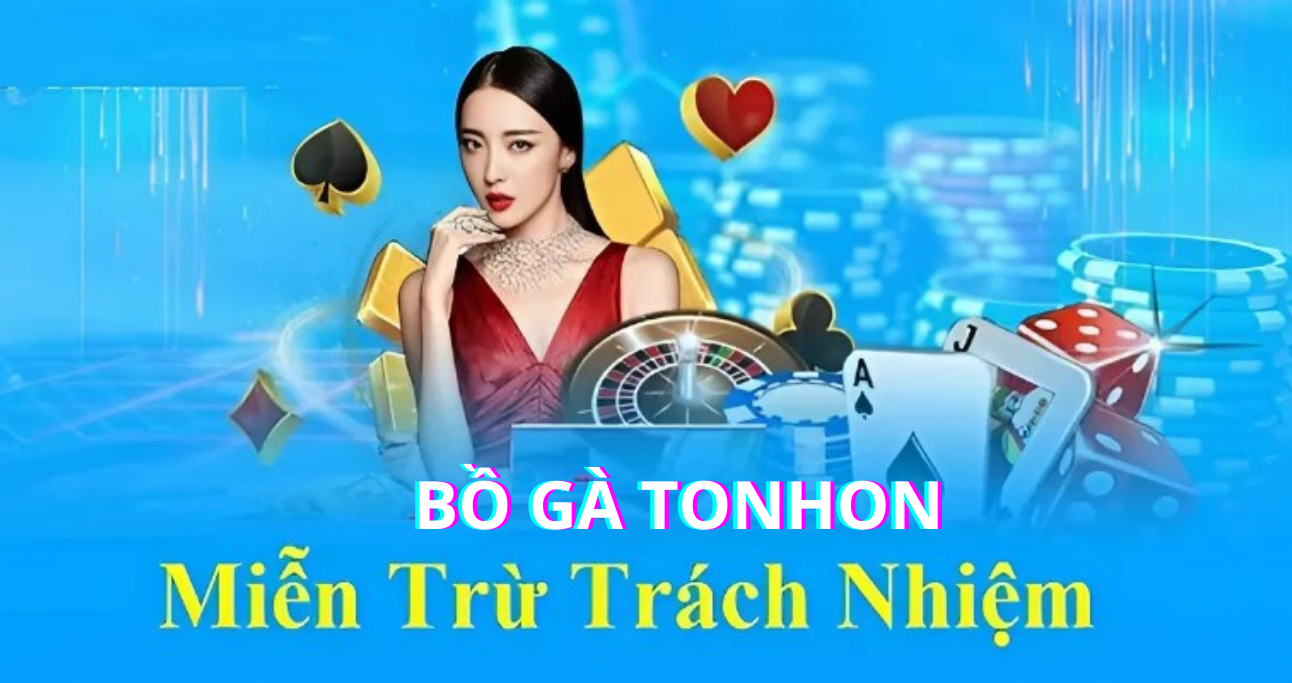 Quy định miễn trách nhiệm của người dùng với Bồ Gà Tonhon
