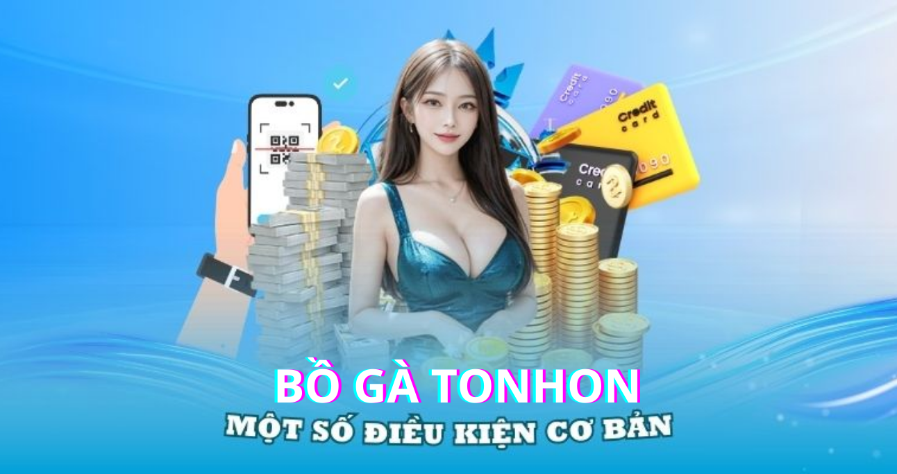 Giải đáp câu hỏi thường gặp liên quan đến quy trình nạp tiền Bồ Gà Tonhon 