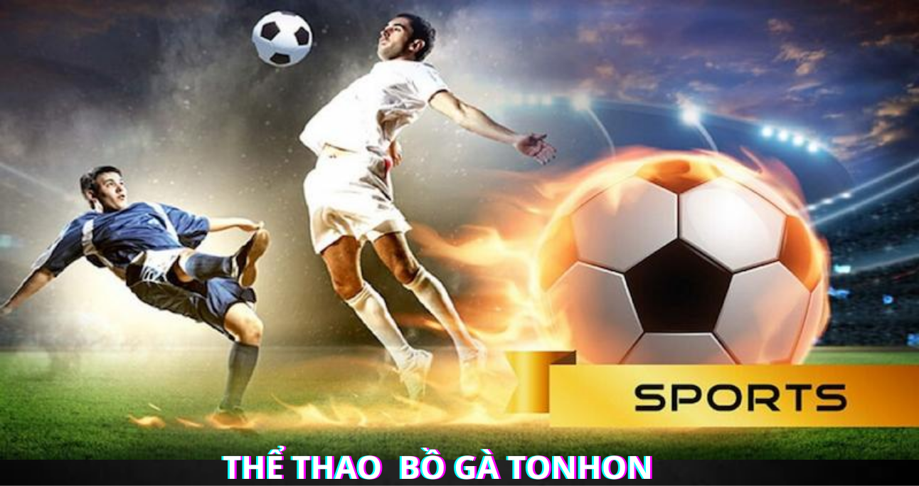 Thể Thao - Những Sảnh Cược Hấp Dẫn Có Tại Nhà Cái Bồ Gà Tonhon
