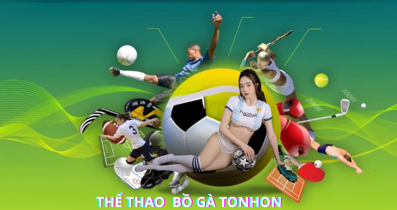 Tỷ lệ kèo cạnh tranh tại thể thao Bồ Gà Tonhon 