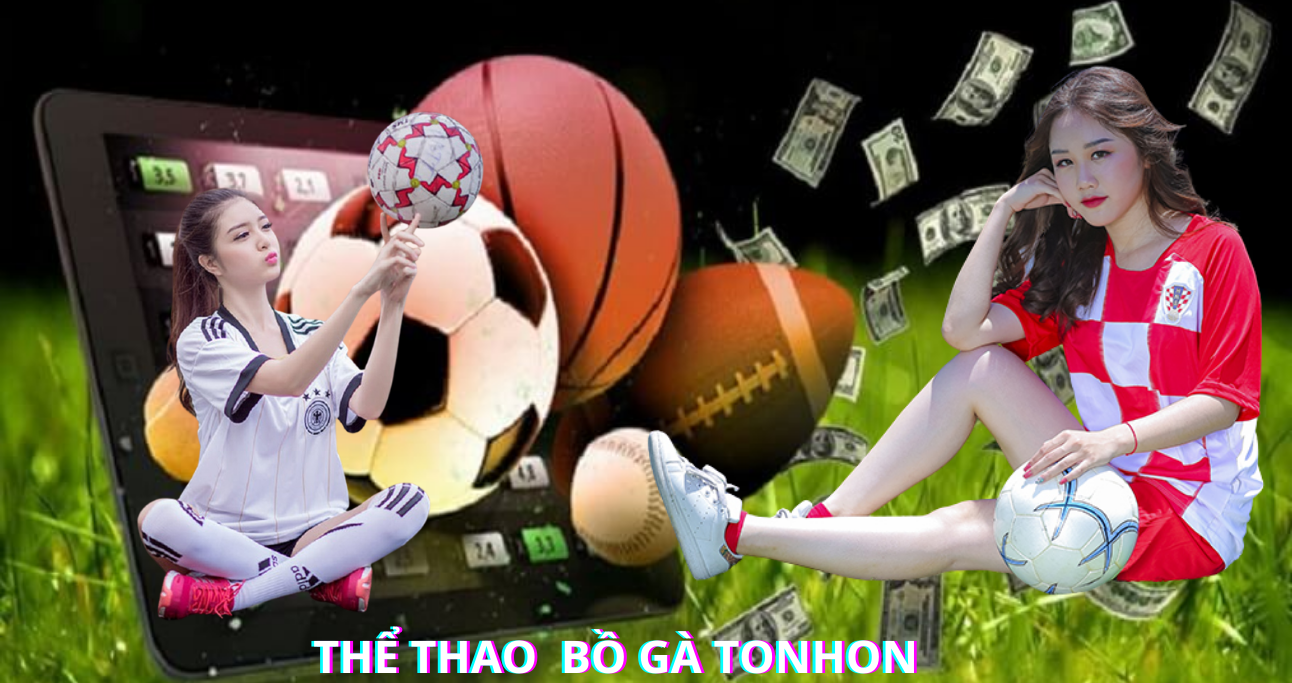 Các sảnh game thể thao Bồ Gà Tonhon  đẳng cấp nhất hiện nay